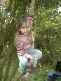 This is my sister hanging on a tree. She wanted to take some pictures of her!